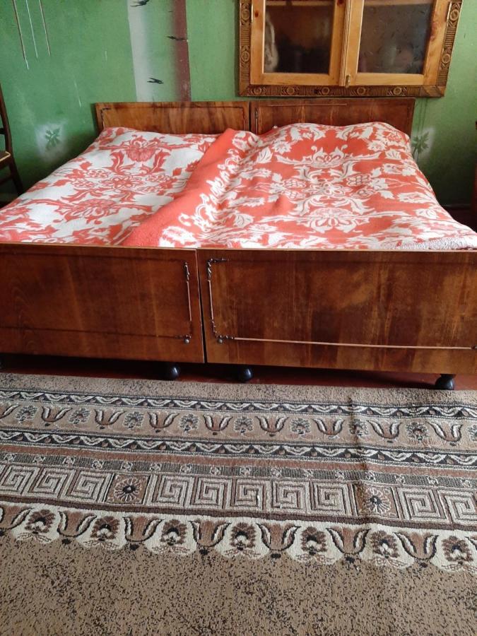 Shorena'S Homestay Tsvirmi Εξωτερικό φωτογραφία